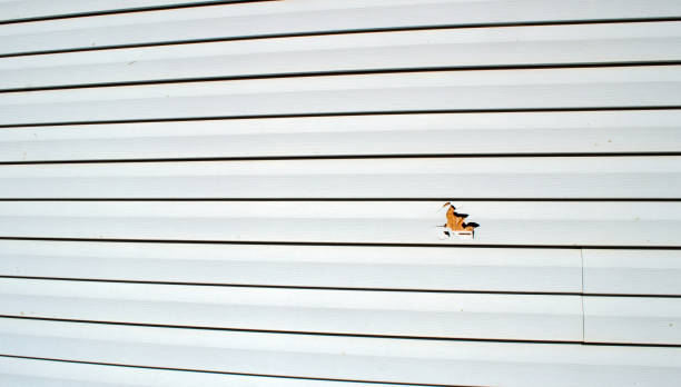 Best Siding for New Construction  in Fairfax, VA